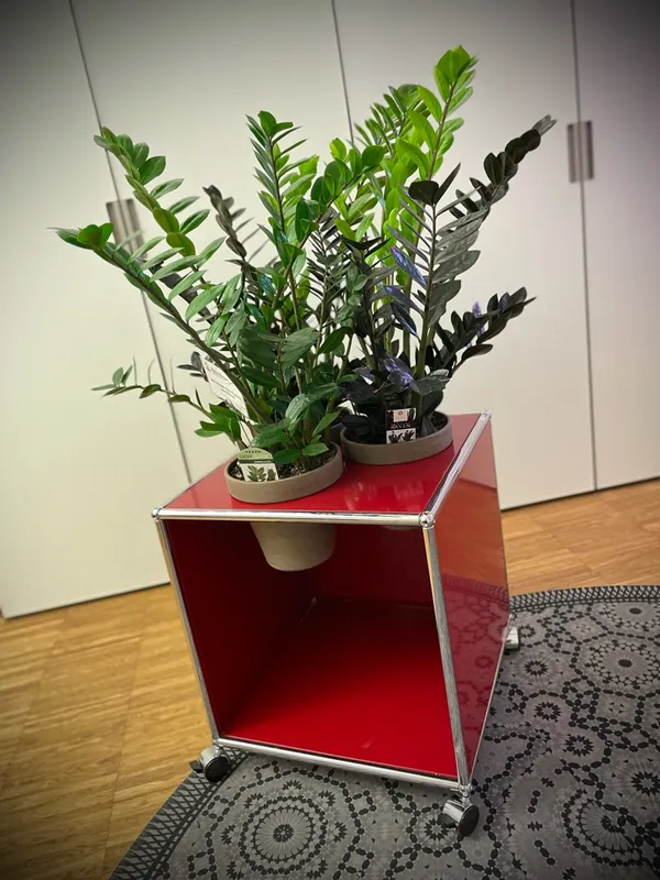 USM Rollcontainer für Pflanzen