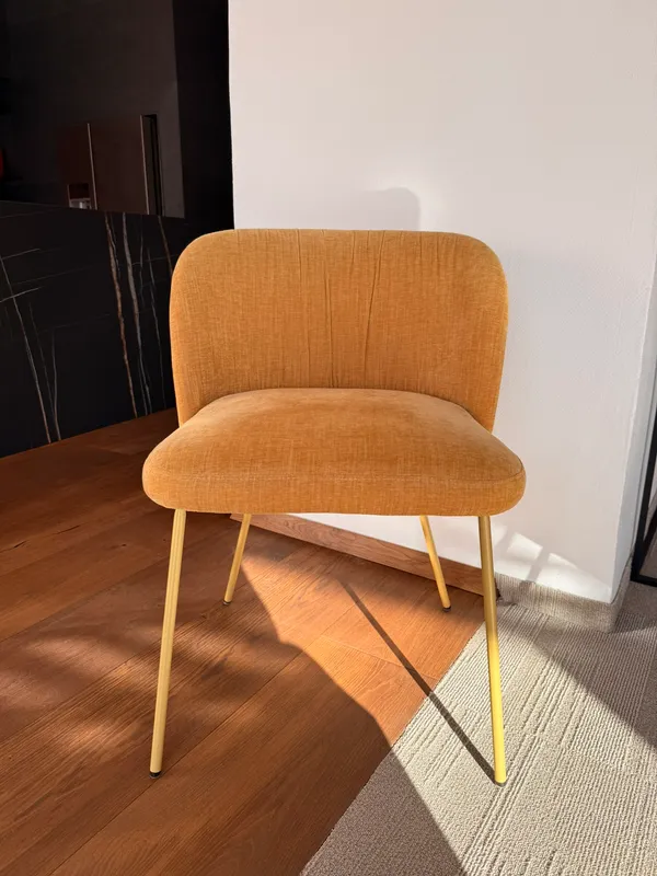 Stuhl Haas S80 casual 